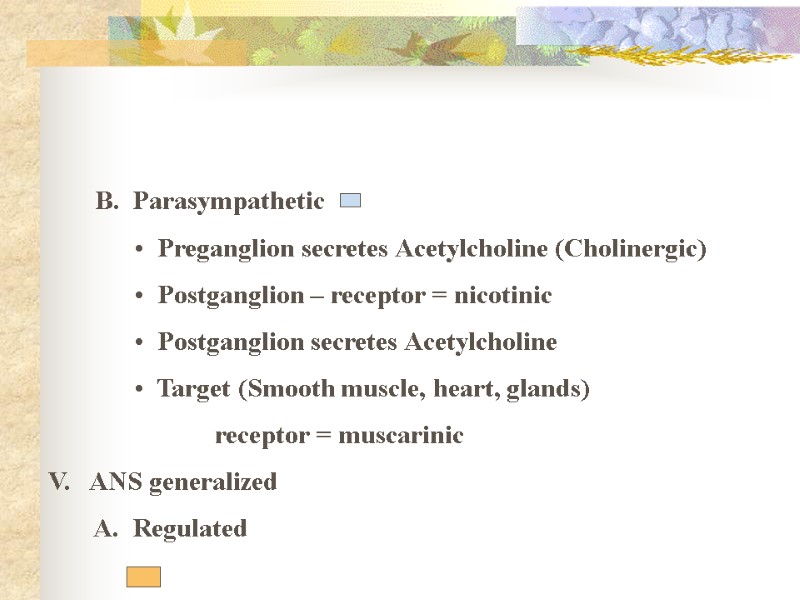 B.  Parasympathetic   Preganglion secretes Acetylcholine (Cholinergic)   Postganglion – receptor